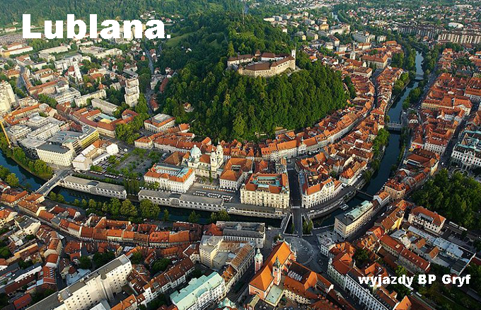 Wyjazd na mecz Słowenia v Polska 06-09-2019 | BP Gryf Szybki wyjazd samolotem z biletem na mecz, organizator.
