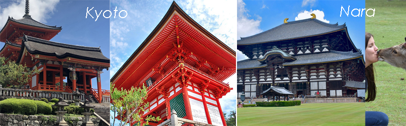 Wyjazdy Japonia 2025 | BP gryf Japonia Kioto - Nara wyjazdy 2025 | BP Gryf