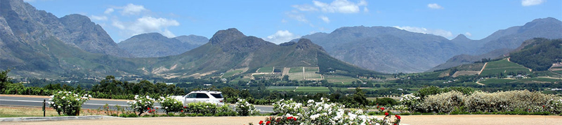 RPA wyjazdy zwiedzanie i winnice znane na całym świecie | BP Gryf